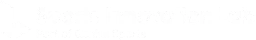 Srixon logo