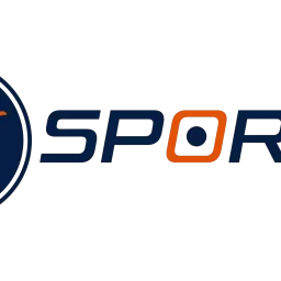 Dbsport Collectibles logo