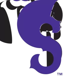 Winston-Salem Dash logo