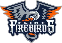 Flint Firebirds logo