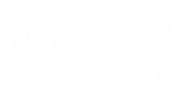 Wisconsin Interscholastic Athletic Association logo