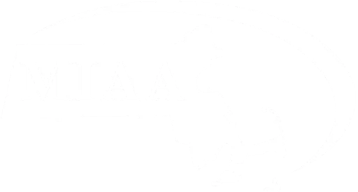 Wisconsin Interscholastic Athletic Association logo