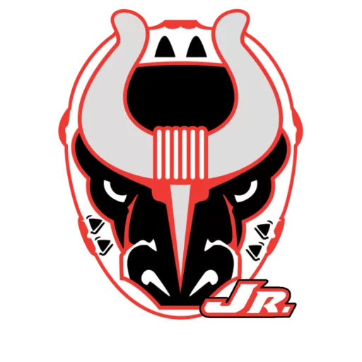 Alabama Amateur Hockey Association logo