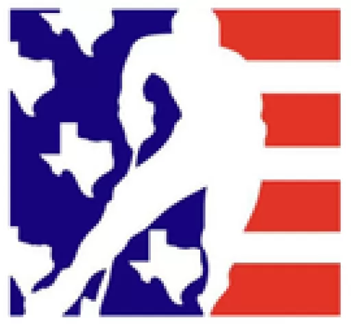 Texas Amateur Hockey Association logo