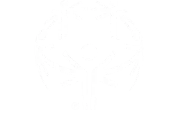 Special Olympics Ontario logo