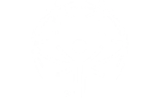 Special Olympics Ontario logo