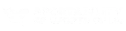 SportAbility logo