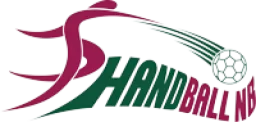 Handball NB logo