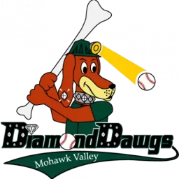 Mohawk Valley Diamond Dawgs logo