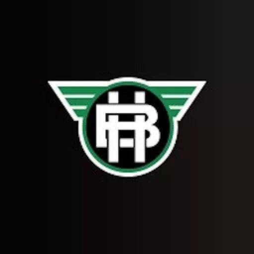 Betting Hero logo
