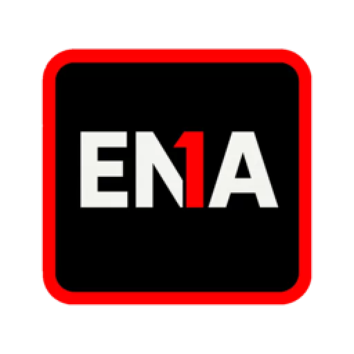 ENA Sports Group logo