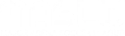 Major Arena Soccer League Women logo