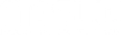 Major Arena Soccer League Women logo