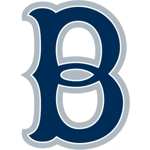 Bellingham Bells logo