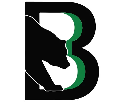 Binghamton Black Bears logo