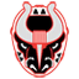 Birmingham Bulls logo
