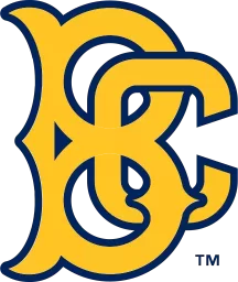 Brooklyn Cyclones logo