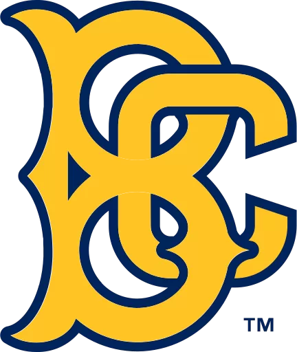 Brooklyn Cyclones logo