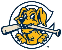 Charleston RiverDogs logo