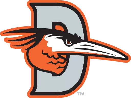 Delmarva Shorebirds logo