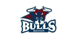 Houston Bulls logo