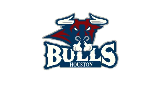 Houston Bulls logo