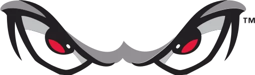 Lake Elsinore Storm logo
