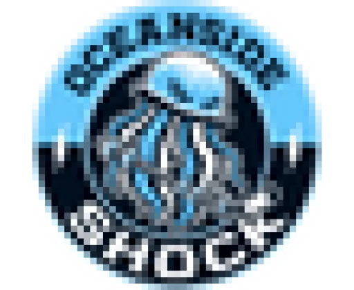 Oceanside Shock logo
