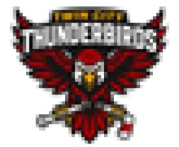 Twin City Thunderbirds logo