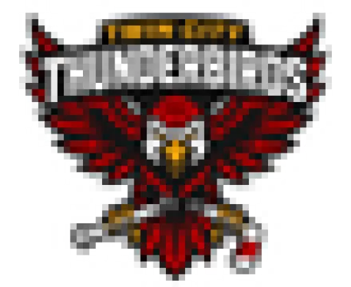 Twin City Thunderbirds logo