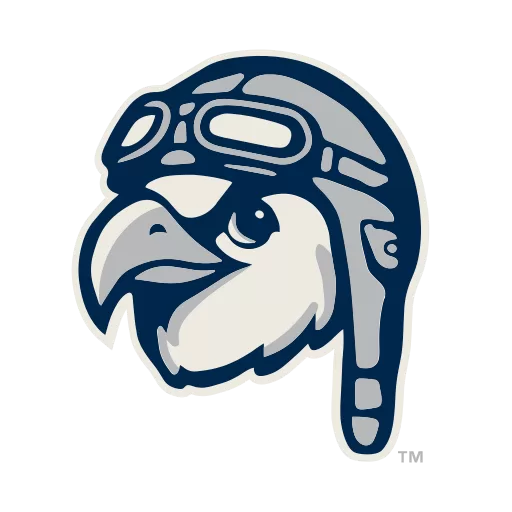 Wilson Warbirds logo
