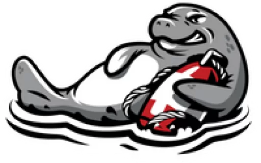Palm Coast Big Buoys logo