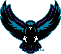 New York Riptide logo