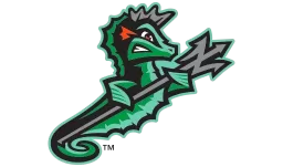 Norfolk Tides logo